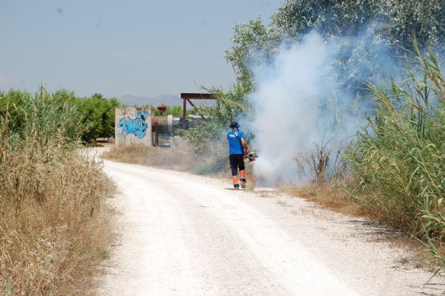 Los ayuntamientos de la comarca articulan un nuevo año en Alguazas
