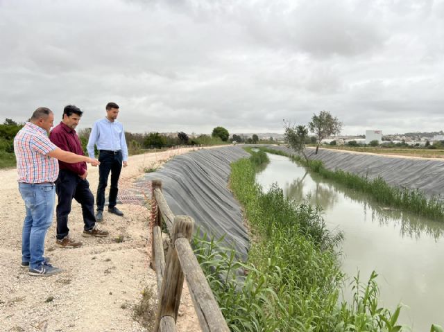 Recuperación del bosque de ribera del Río Segura a su paso por Alguazas