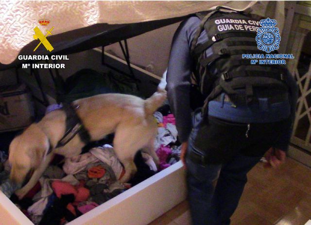 Desarticulado en Alguazas un grupo criminal dedicado a sustraer drogas a otros grupos delictivos