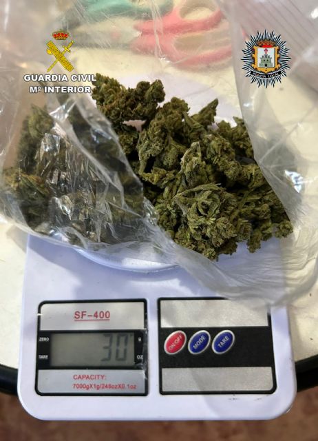Desmantelados 11 invernaderos indoor con más de mil plantas de cannabis