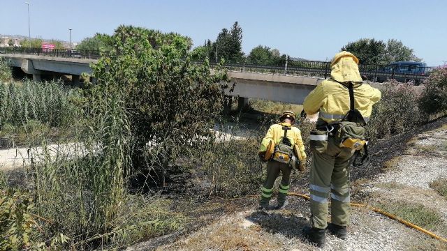 Incendio de cañas en el cauce del río Segura, en Alguazas