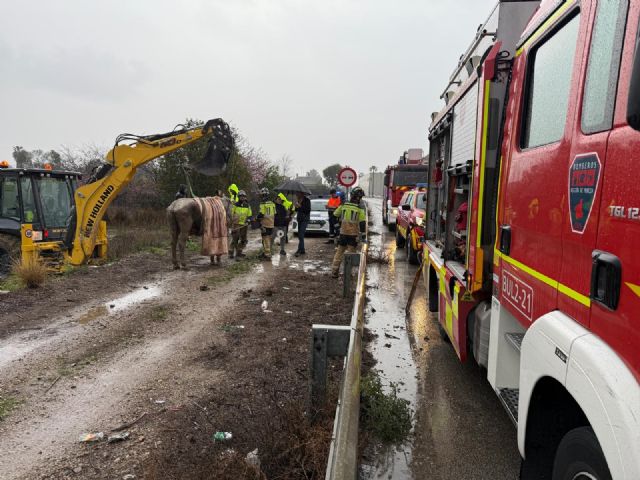 Bomberos rescatan a un caballo atrapado en un barrizal en Alguazas