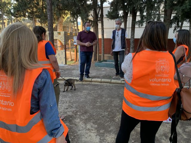 La Concejalía de Bienestar Animal pone en marcha el programa de control de colonias felinas