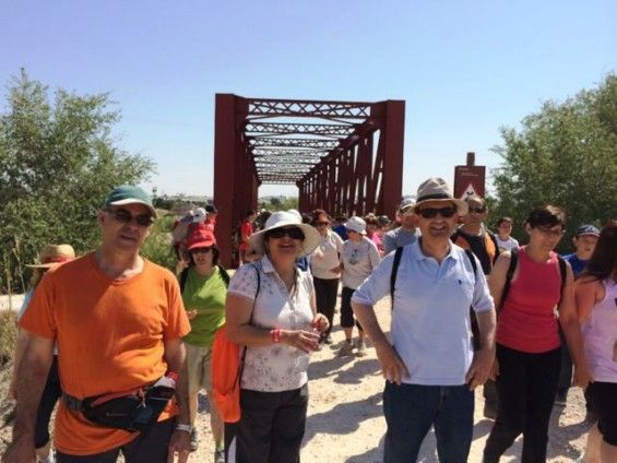 Más de 400 personas recorren paisajes y monumentos de Alguazas en el Día Nacional de las Vías Verdes