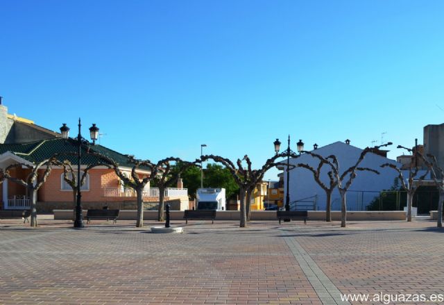 El Ayuntamiento de Alguazas acomete la poda de un millar de moreras del municipio