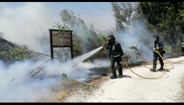Sofocan el incendio de cañas/matorral en Alguazas